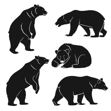 Collection of black bear silhouettes in various poses including standing walking and lying down on a white background