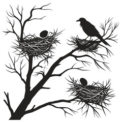 Silhouette of a bare tree branch with three bird nests one with an adult bird perched on it and two with eggs or chicks inside