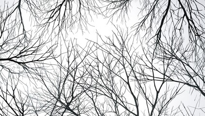 Obraz premium Seamless 2D pattern featuring branches against a white backdrop