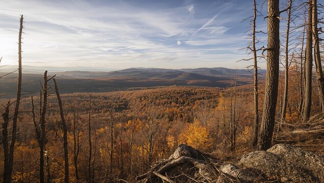 Endless autumn taiga spreading from the summit of a mountain crater ridge.