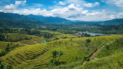 Fototapeta premium Terraced Paddy Fields in a Tropical Setting