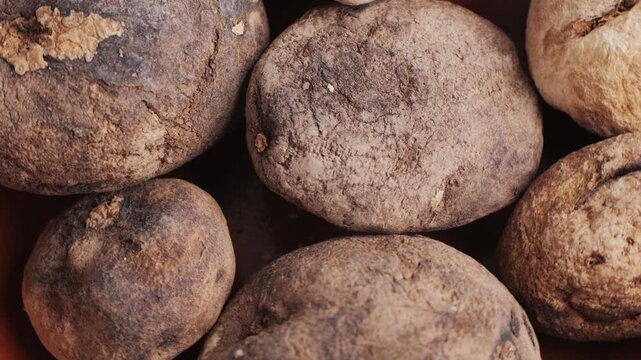 Black and White chunos potatoes from Peru, chuno food from potato, bolivian peruvian traditional dish. 