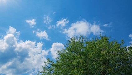 Obraz premium Azure sky adorned with fluffy white clouds and a border of lush green trees at the bottom.