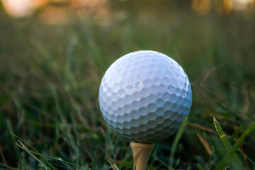 Close-Up of a Golf Ball Teed on Lush Green Grass in Soft Light