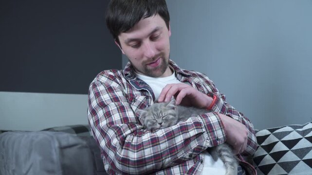 Pets love theme. Man very gently protects sleep of kitten breed British prime-eared holding in arms and stroking at home. Lovely relationship between human and pet. Scottish straight gray kitten sleep
