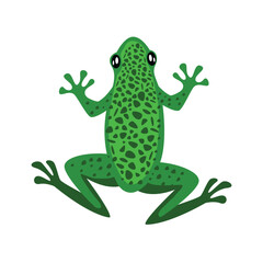 frog animal abstract logo modern style