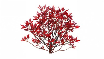 Naklejka premium A collection of slender twigs decorated with bright red foliage, showcasing shades from rich crimson to intense scarlet, standing out vividly against the stark bare branches and a calm background