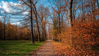 Fototapeta premium Fall pathway in an urban garden with trees and foliage