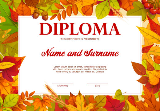Kids diploma with autumn fall season leaves. Vector autumn certificate template with colorful fall leaves, acorns, and berries. Cartoon festive layout for seasonal awards, school or holiday events