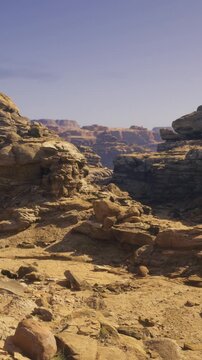 Stunning rocky outcrops rise from the sandy ground, set against a clear blue sky. The sunlight accentuates the unique shapes and textures of the desert terrain.