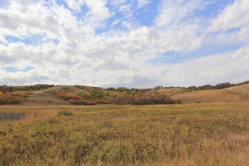 Fototapeta premium Scenery from horses on a hill to an old skull on a rock.