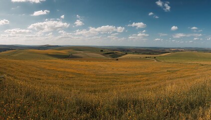 A stunning panorama showcasing diverse fields stretching far into the horizon, each more picturesque than the previous one.