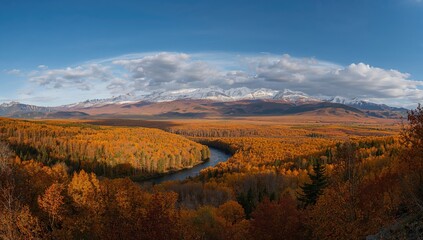 Mountainous autumn landscape with dense woodland