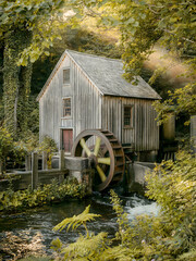 Rustic Watermill By a Quiet Forest Stream, Wooden Wheel Turning in Golden Light