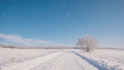 Fototapeta premium Discover the wonder of a frosty landscape. Embark on limitless journeys beneath clear, vibrant skies. Surround yourself with the captivating charm of nature's icy crystals.