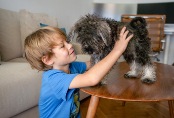 Cute little child boy playing with his little puppy dog at home.