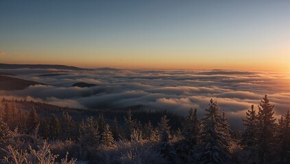 Obraz premium Stunning twilight scene of snow-covered pine trees beneath dramatic clouds in a rugged terrain, bathed in golden light.