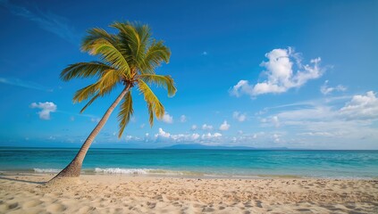 Naklejka premium Sandy shore lined with palm trees under a clear sky with gentle clouds, evoking a summer vibe