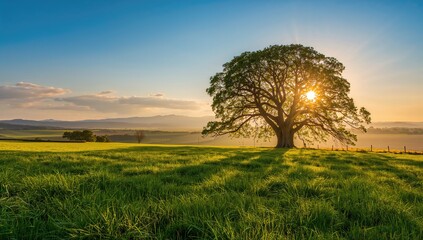 Fototapeta premium Stunning sunrise over a lush agricultural landscape with trees and fields