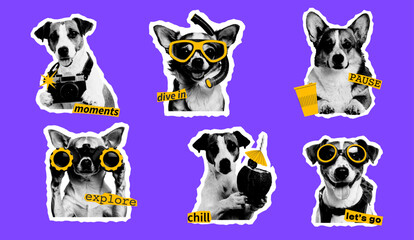 Obraz premium Set of retro styled halftone dogs with “explore”, “pause”, “chill”. Each dog features travel props and is isolated on a bright background. Great for t-shirts, stickers, posters, and editorial content.