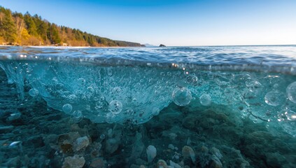 Foamy water along a frozen edge with sandy beach and forest scenery