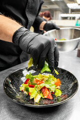 Chef in black gloves plating fresh salad with mixed greens and vegetables in a professional kitchen. Culinary preparation, hygiene, and vibrant ingredients emphasized.