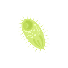 Plasmodium Illustration