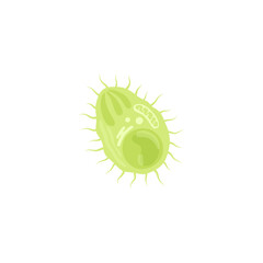 Plasmodium Illustration