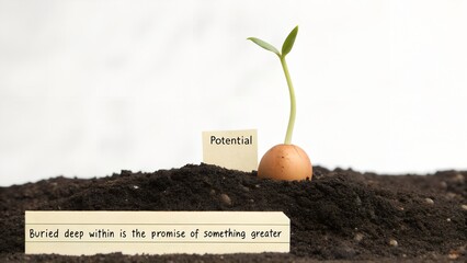 A Sprout Emerging From Soil With Promise of Potential