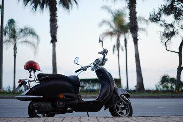 A black scooter rests on a paved street beside tall palm trees, with a red helmet perched on the rear rack. The scene evokes travel, leisure, and coastal city vibes.