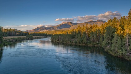 A flowing river through a mountainous forest landscape
