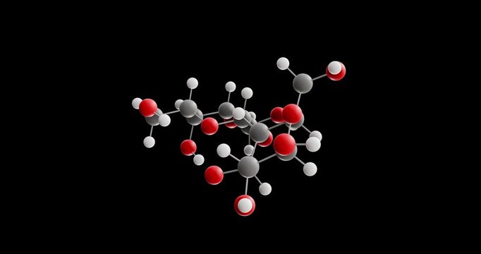 Lactose molecule, rotating 3D model of milk sugar, looped video on a black background
