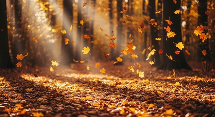 Sunlight filters through the trees, illuminating falling autumn leaves in a forest