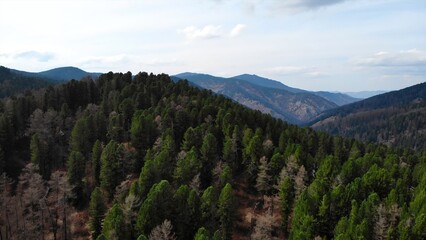 Flying over endless green forest and mountains. Media