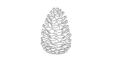 Minimalist Pine Cone Outline Illustration for Botanical Studies, Coloring Pages, and Natural Design Elements. Perfect for educational materials and creative projects.