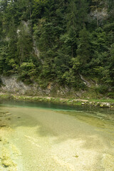 Beautiful Natural Background with Forest River in Summer