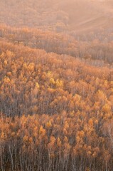The amazing scenery of autumn on the vast grasslands of Inner Mongolia, China