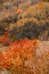 The amazing scenery of autumn on the vast grasslands of Inner Mongolia, China