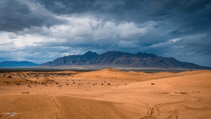 Stunning view of a vast sandy desert in a natural park just before a storm