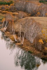 The amazing scenery of autumn on the vast grasslands of Inner Mongolia, China