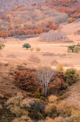The amazing scenery of autumn on the vast grasslands of Inner Mongolia, China