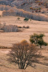 The amazing scenery of autumn on the vast grasslands of Inner Mongolia, China