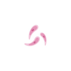 Toxoplasmosis illustration