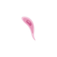 Toxoplasmosis illustration