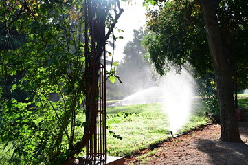 An automatic sprinkler sprays water evenly across a lush green lawn, maintaining a healthy backyard under the warm sunlight