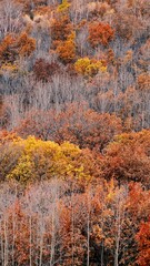 The amazing scenery of autumn on the vast grasslands of Inner Mongolia, China
