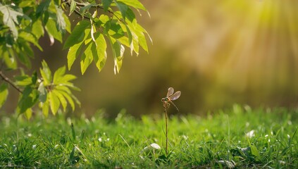 Insect resting on a tree limb for animal-themed wallpaper calendar design with summer and spring elements
