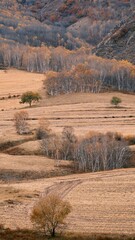 The amazing scenery of autumn on the vast grasslands of Inner Mongolia, China