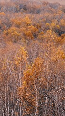 The amazing scenery of autumn on the vast grasslands of Inner Mongolia, China