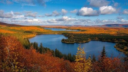 Naklejka premium Autumn leaves panorama over a vast northern woodland, featuring Caribou and Bigsby Lakes by a large freshwater lake's shoreline.
